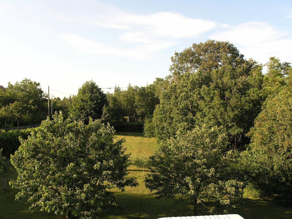 Stirenca B&B Trieste Bagian luar foto