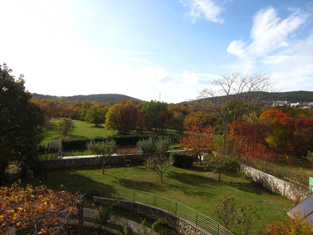 Stirenca B&B Trieste Bagian luar foto